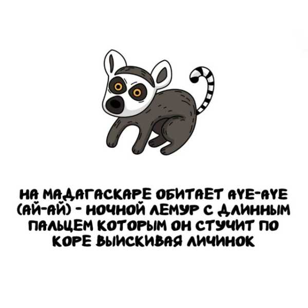 Минута отдыха Интересные короткие факты на все случаи жизни Интересное 
