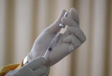 Минута отдыха Российским учёным нужно 1,5 года на разработку вакцины против хантавируса Полезности хантавирус Гамалеи вакцина 