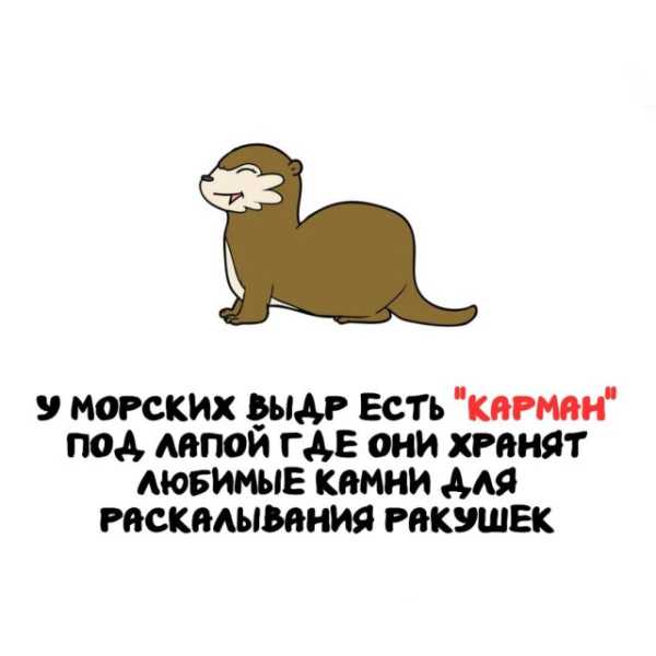 Минута отдыха Интересные короткие факты на все случаи жизни Интересное 