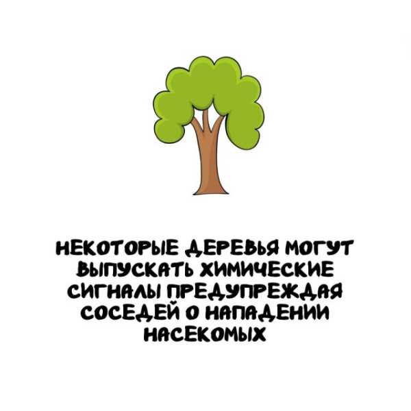 Минута отдыха Интересные короткие факты на все случаи жизни Интересное 