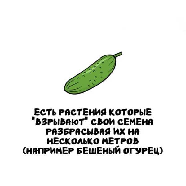 Минута отдыха Интересные короткие факты на все случаи жизни Интересное 