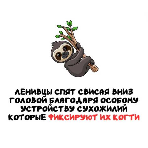 Минута отдыха Интересные короткие факты на все случаи жизни Интересное 