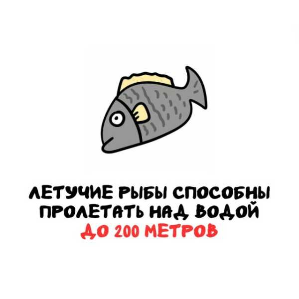 Минута отдыха Интересные короткие факты на все случаи жизни Интересное 
