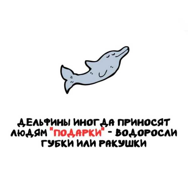 Минута отдыха Интересные короткие факты на все случаи жизни Интересное 