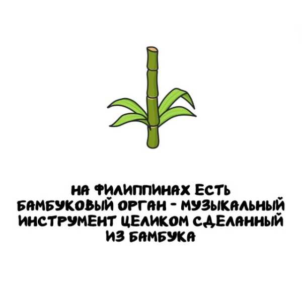 Минута отдыха Интересные короткие факты на все случаи жизни Интересное 