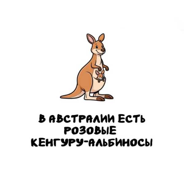 Минута отдыха Интересные короткие факты на все случаи жизни Интересное 