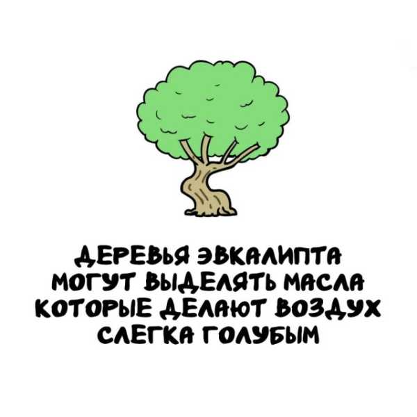 Минута отдыха Интересные короткие факты на все случаи жизни Интересное 