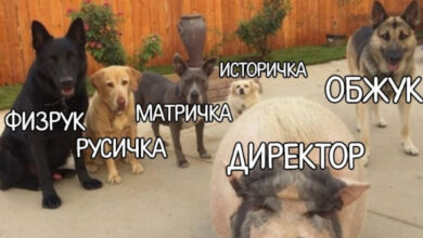 Минута отдыха Мем №1607568 Анекдоты 