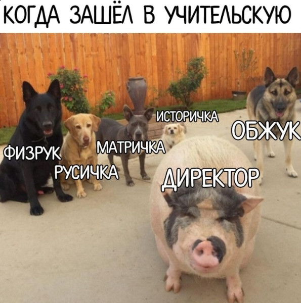 Минута отдыха Мем №1607568 Анекдоты 