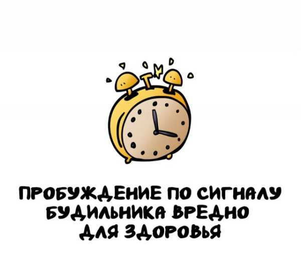 Минута отдыха Интересные короткие факты на все случаи жизни Интересное 