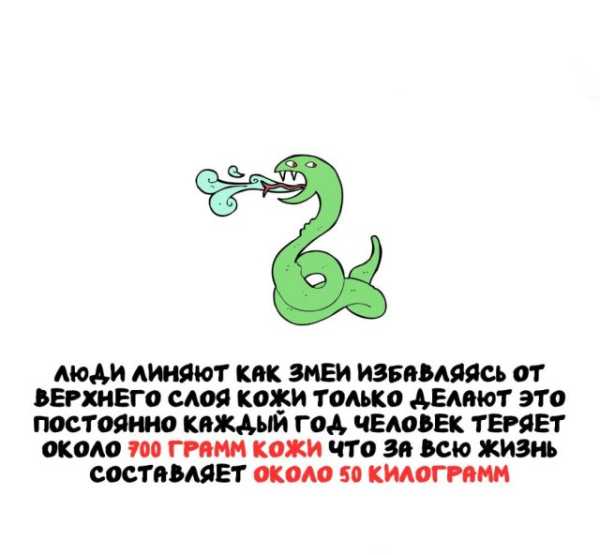 Минута отдыха Интересные короткие факты на все случаи жизни Интересное 