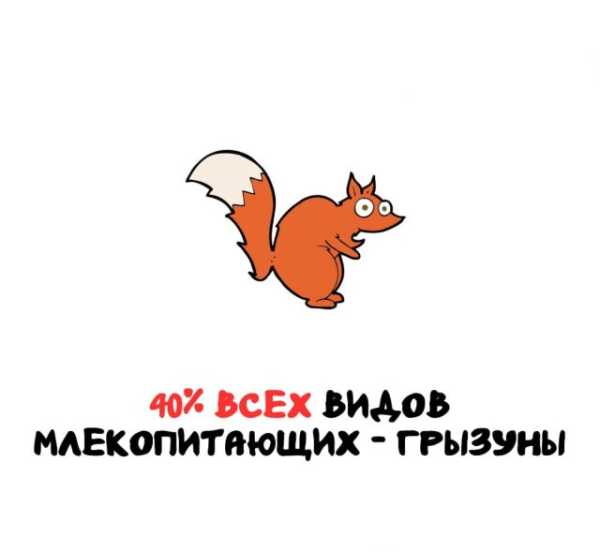 Минута отдыха Интересные короткие факты на все случаи жизни Интересное 