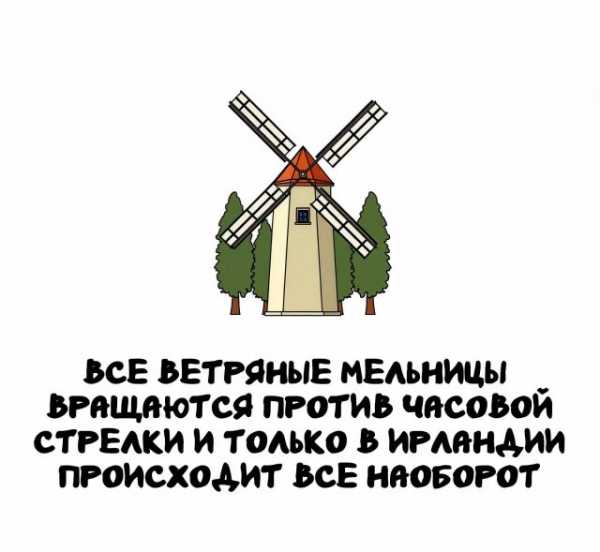 Минута отдыха Интересные короткие факты на все случаи жизни Интересное 