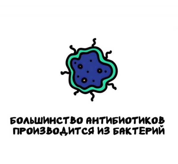 Минута отдыха Интересные короткие факты на все случаи жизни Интересное 
