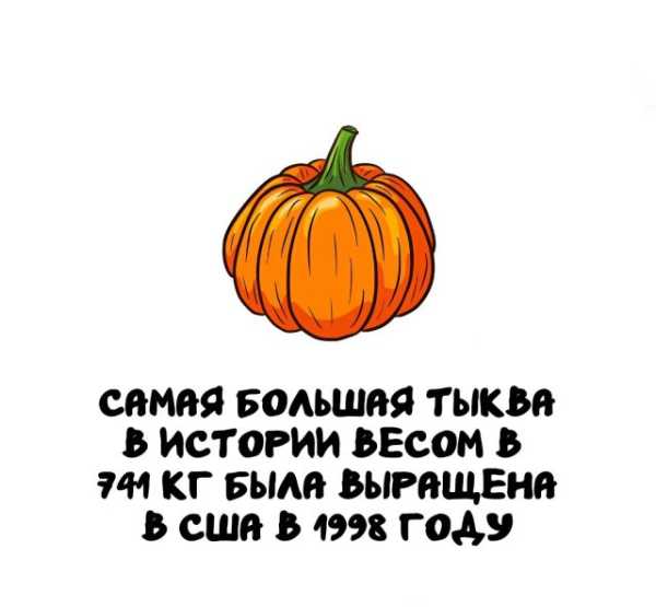 Минута отдыха Интересные короткие факты на все случаи жизни Интересное 