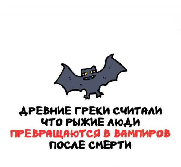Минута отдыха Интересные короткие факты на все случаи жизни Интересное 