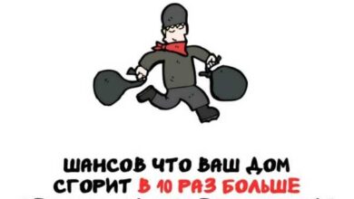 Минута отдыха Интересные короткие факты на все случаи жизни Интересное Минута отдыха Интересные короткие факты на все случаи жизни Интересное