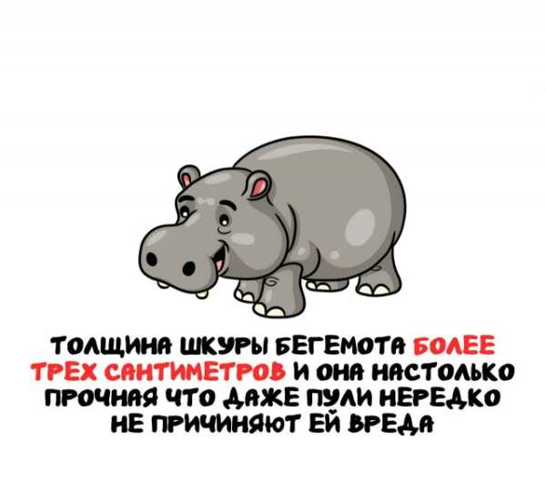 Минута отдыха Интересные короткие факты на все случаи жизни Интересное 