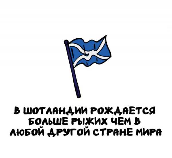 Минута отдыха Интересные короткие факты на все случаи жизни Интересное 