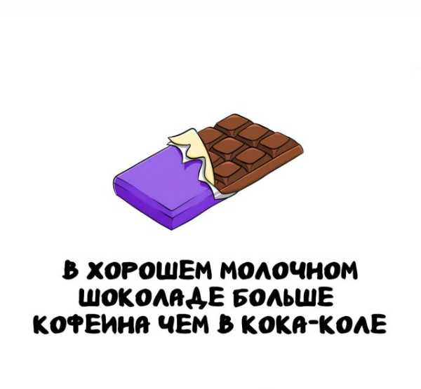 Минута отдыха Интересные короткие факты на все случаи жизни Интересное 