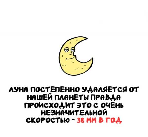 Минута отдыха Интересные короткие факты на все случаи жизни Интересное 
