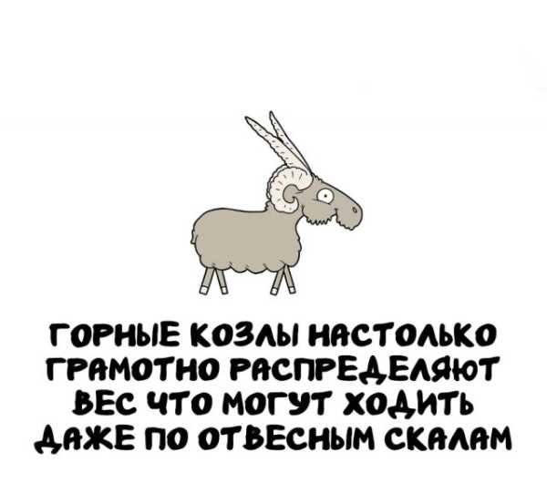 Минута отдыха Интересные короткие факты на все случаи жизни Интересное 