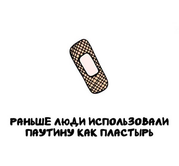 Минута отдыха Интересные короткие факты на все случаи жизни Интересное 