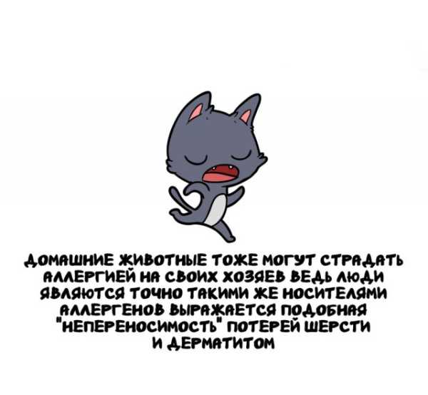 Минута отдыха Интересные короткие факты на все случаи жизни Интересное 
