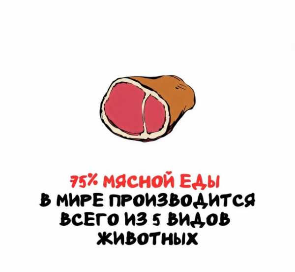 Минута отдыха Интересные короткие факты на все случаи жизни Интересное 