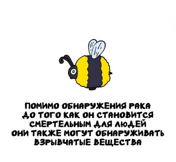 Минута отдыха Интересные короткие факты на все случаи жизни Интересное 