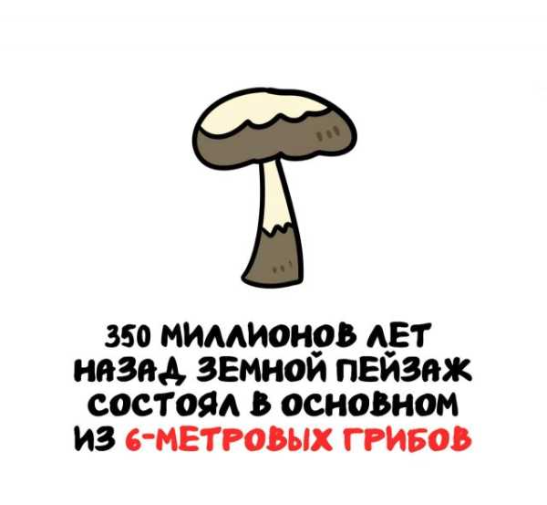 Минута отдыха Интересные короткие факты на все случаи жизни Интересное 
