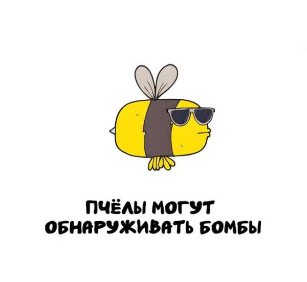 Минута отдыха Интересные короткие факты на все случаи жизни Интересное 