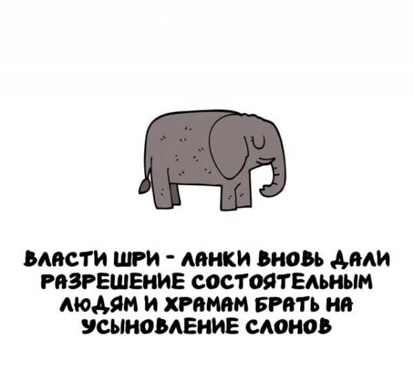 Минута отдыха Интересные короткие факты на все случаи жизни Интересное 