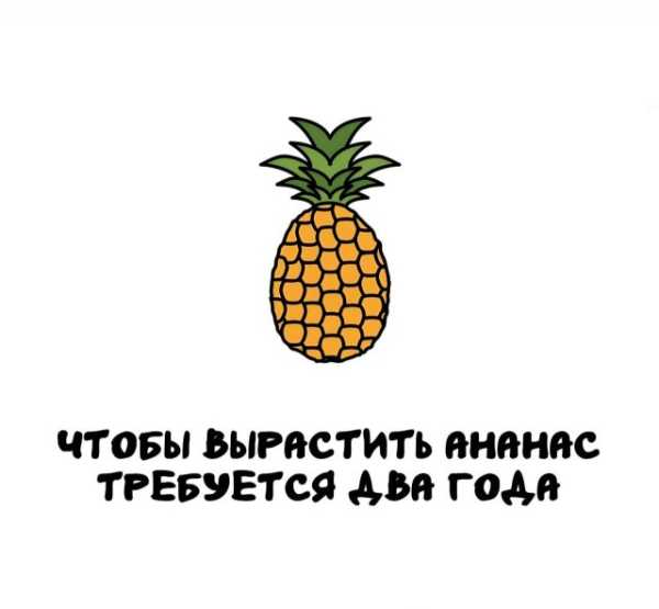 Минута отдыха Интересные короткие факты на все случаи жизни Интересное 