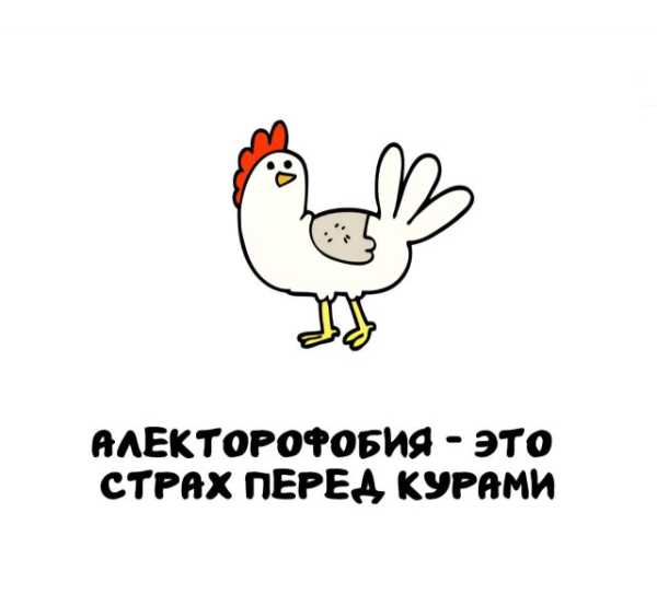 Минута отдыха Интересные короткие факты на все случаи жизни Интересное 