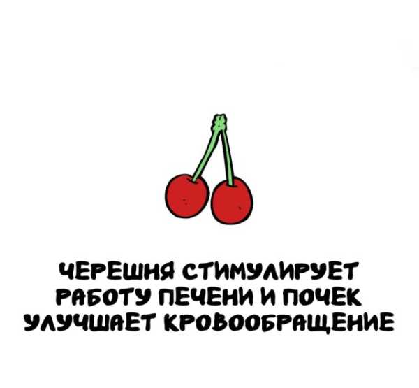 Минута отдыха Интересные короткие факты на все случаи жизни Интересное 