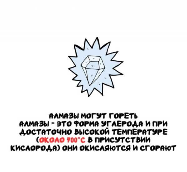 Минута отдыха Интересные короткие факты на все случаи жизни Интересное 