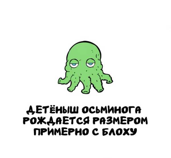 Минута отдыха Интересные короткие факты на все случаи жизни Интересное 