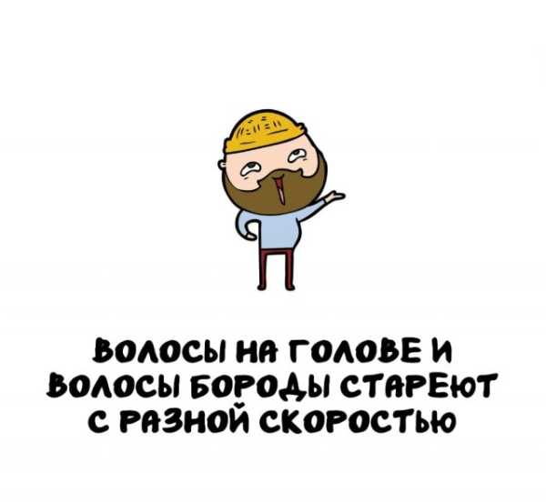 Минута отдыха Интересные короткие факты на все случаи жизни Интересное 