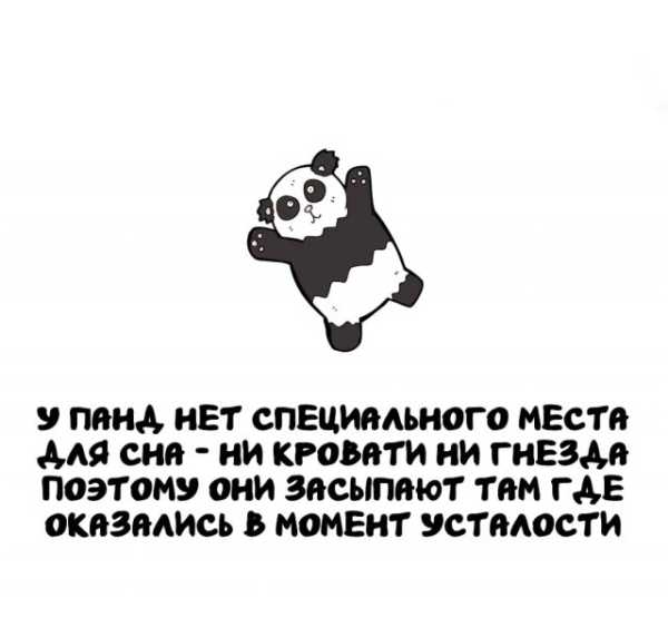 Минута отдыха Интересные короткие факты на все случаи жизни Интересное 