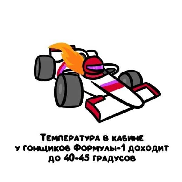 Минута отдыха Интересные короткие факты на все случаи жизни Интересное 