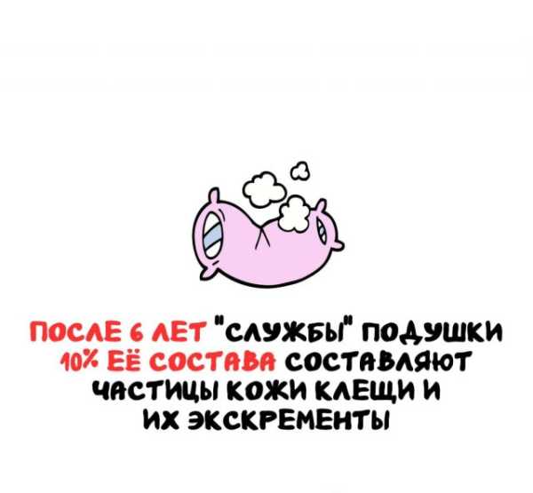 Минута отдыха Интересные короткие факты на все случаи жизни Интересное Минута отдыха Интересные короткие факты на все случаи жизни Интересное