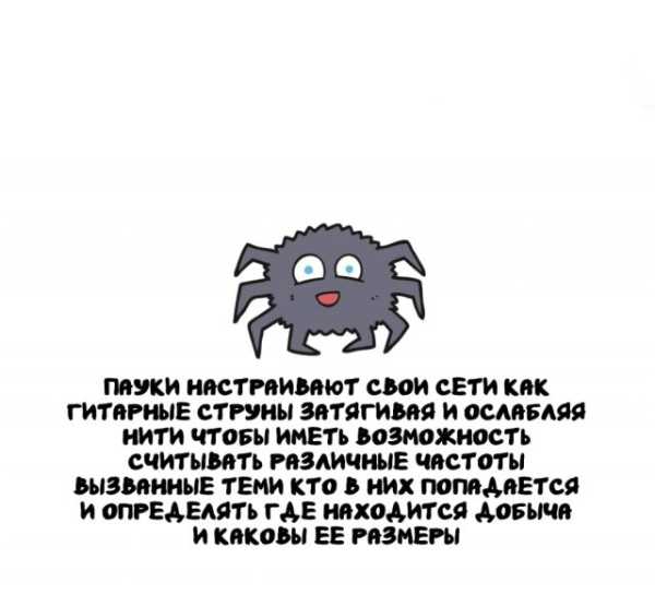 Минута отдыха Интересные короткие факты на все случаи жизни Интересное Минута отдыха Интересные короткие факты на все случаи жизни Интересное