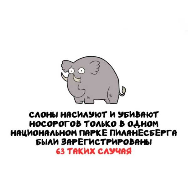 Минута отдыха Интересные короткие факты на все случаи жизни Интересное 
