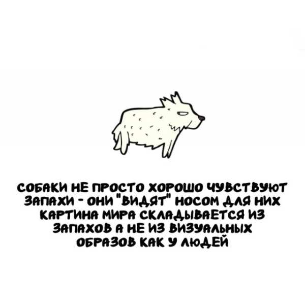 Минута отдыха Интересные короткие факты на все случаи жизни Интересное Минута отдыха Интересные короткие факты на все случаи жизни Интересное