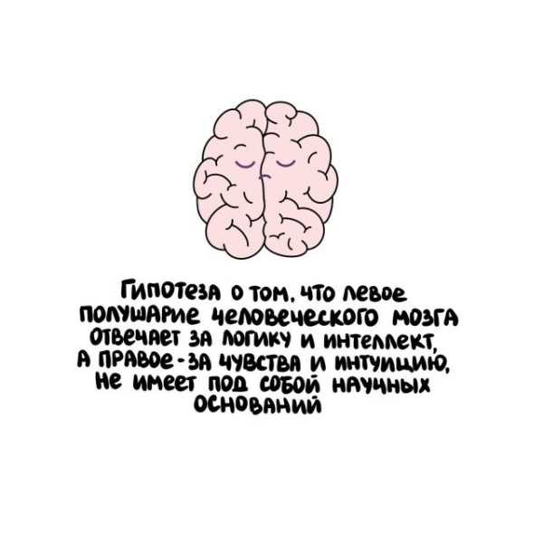 Минута отдыха Интересные короткие факты на все случаи жизни Интересное Минута отдыха Интересные короткие факты на все случаи жизни Интересное