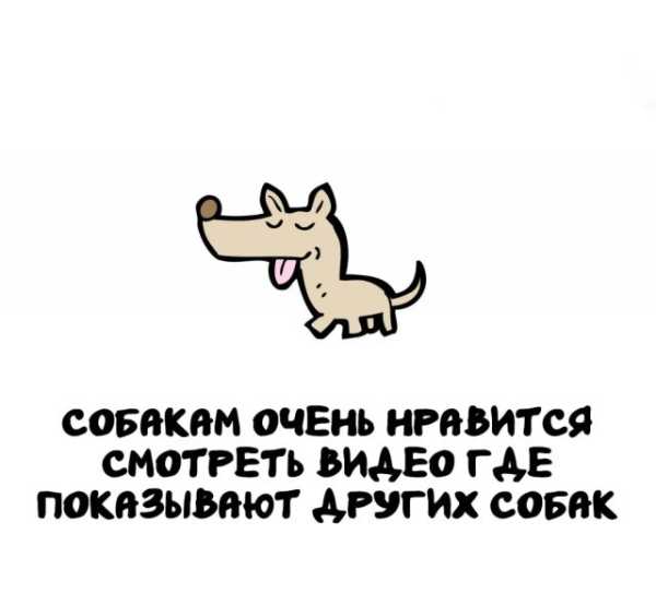 Минута отдыха Интересные короткие факты на все случаи жизни Интересное 
