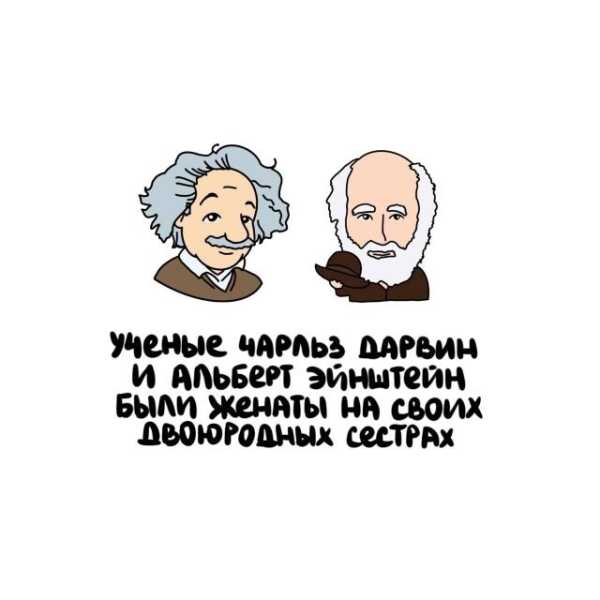 Минута отдыха Интересные короткие факты на все случаи жизни Интересное 