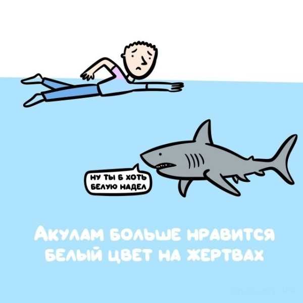 Минута отдыха Интересные короткие факты на все случаи жизни Интересное 