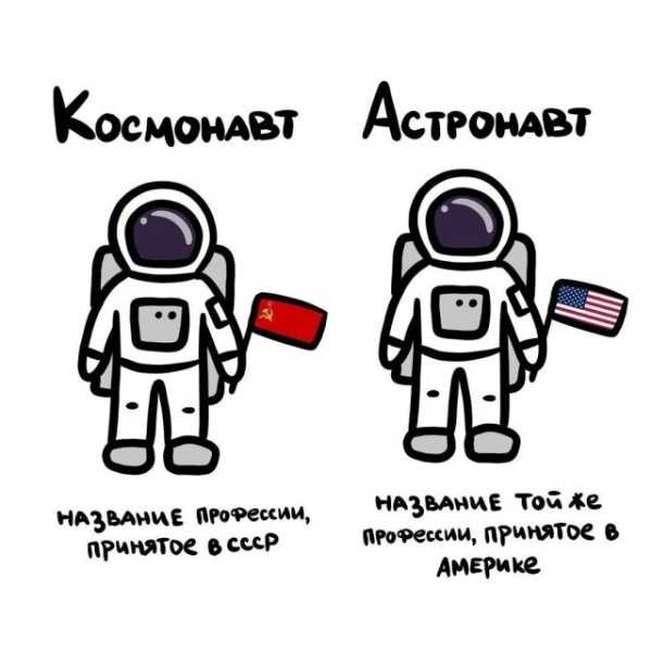 Минута отдыха Интересные короткие факты на все случаи жизни Интересное Минута отдыха Интересные короткие факты на все случаи жизни Интересное